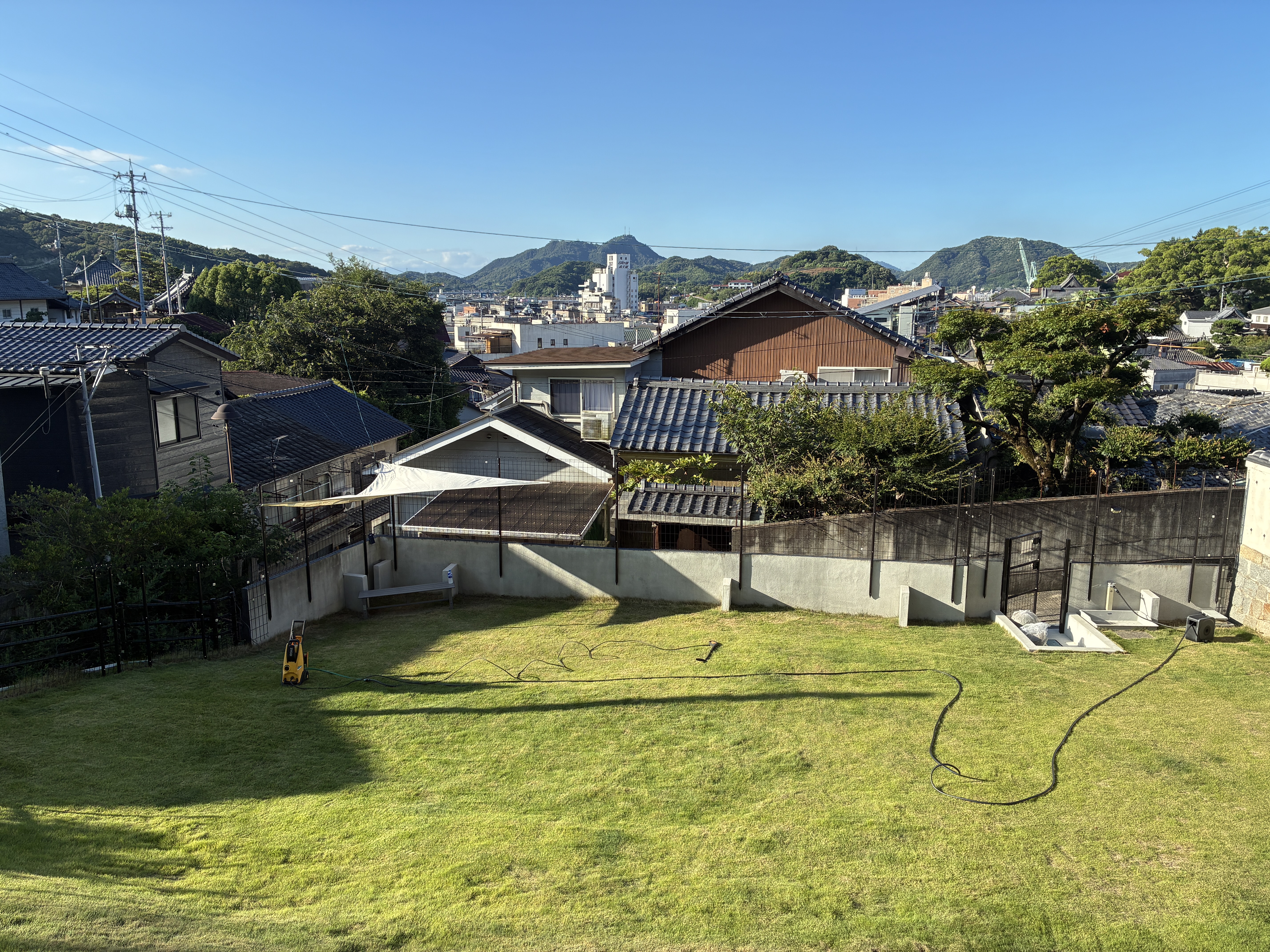 ドッグラン全体